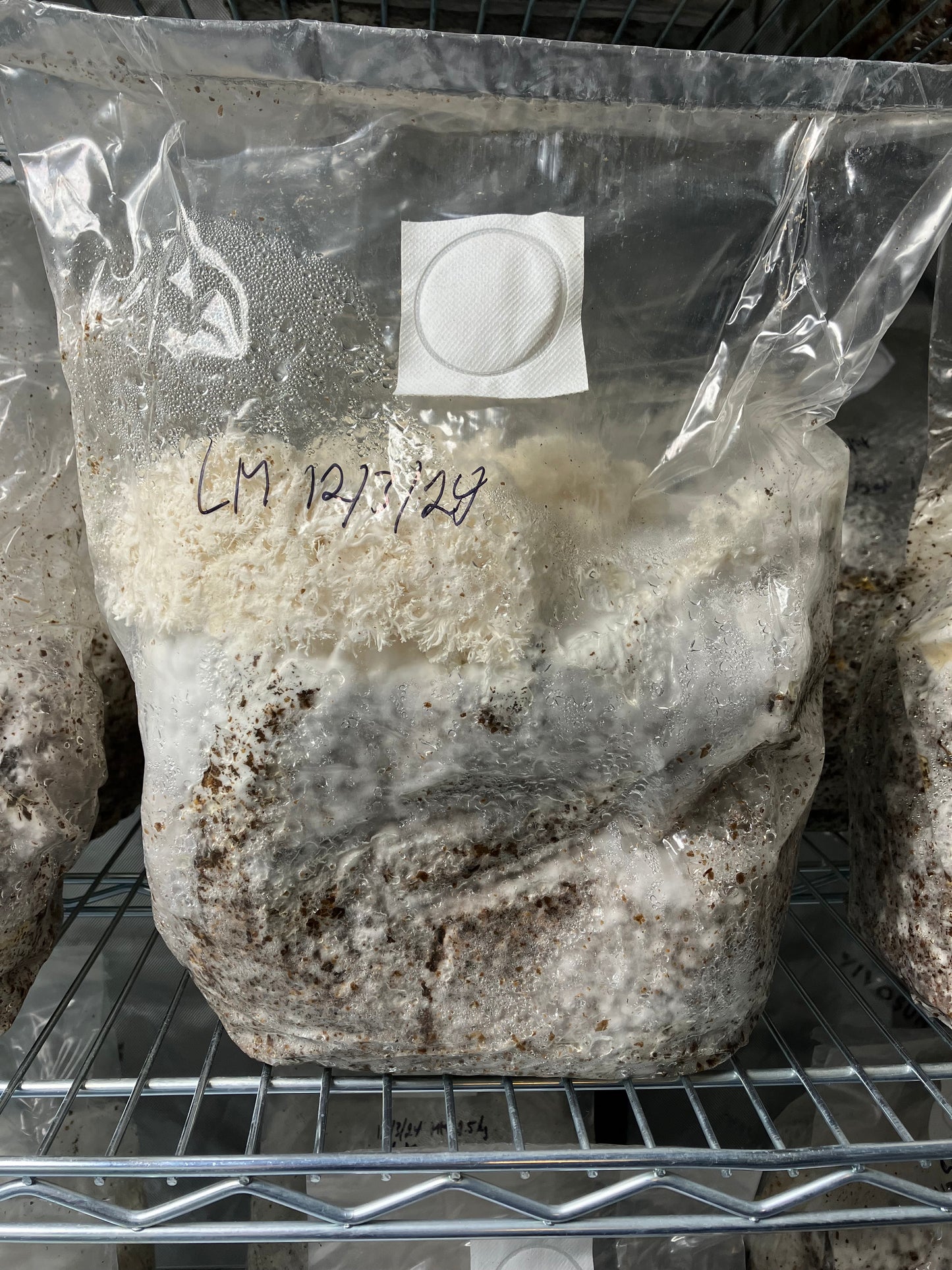Ready-to-Grow Bags