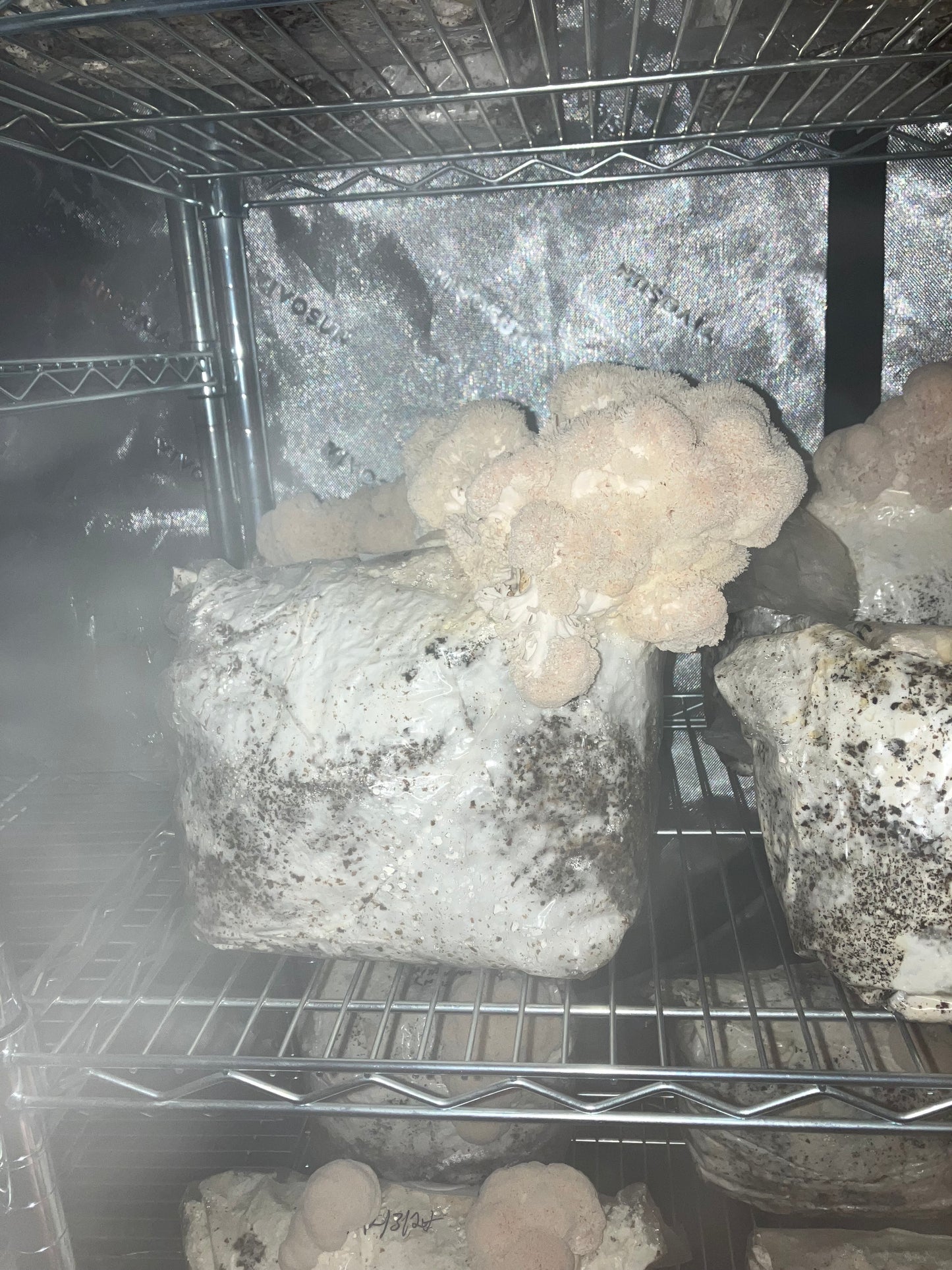 Ready-to-Grow Bags